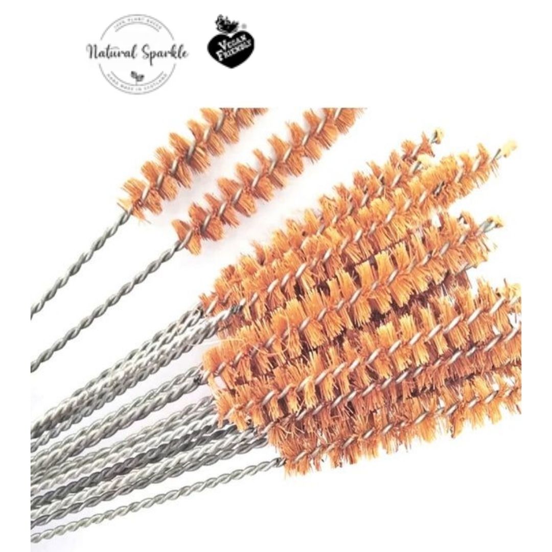 Why Every Eco-Friendly Home Needs Straw Cleaning Brushes – Site Title