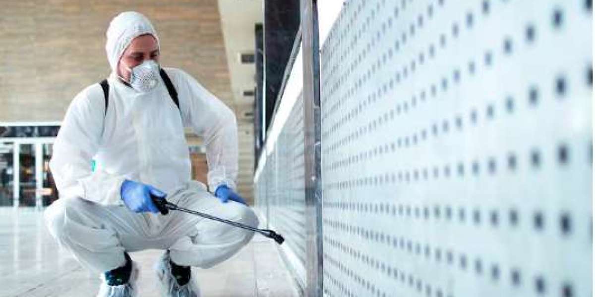 417 Pest Solutions: Protecting Springfield Homes with Proven Pest Defense