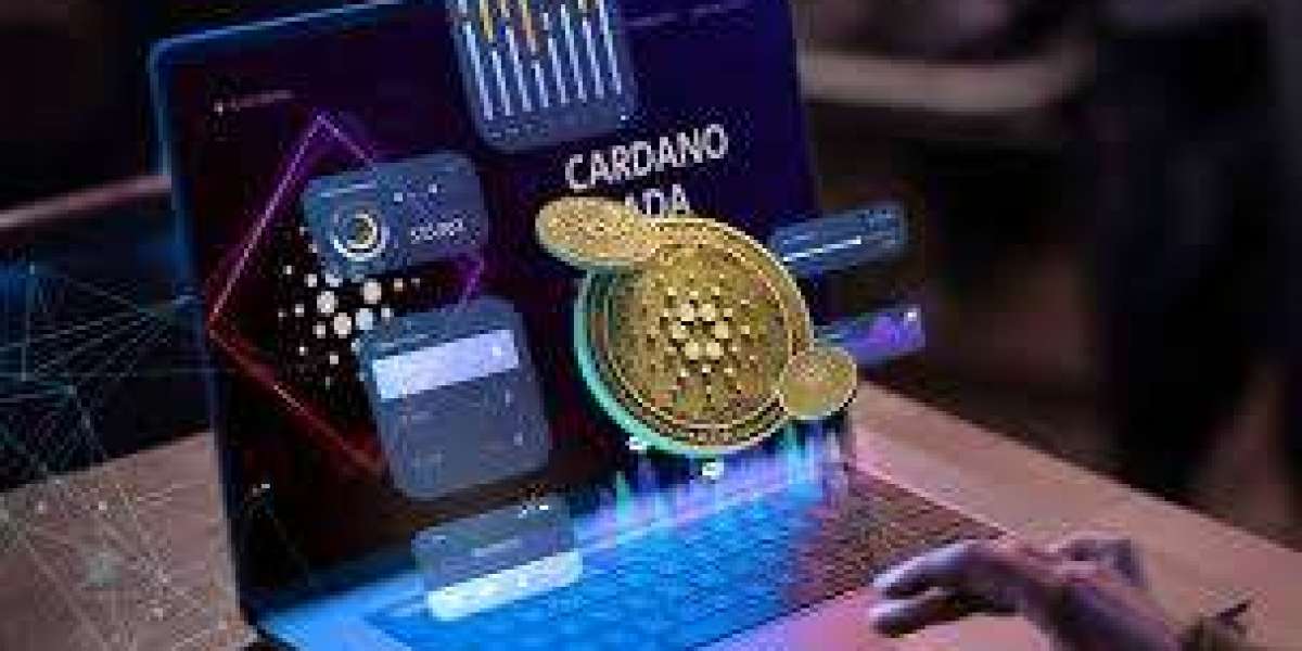 A Deep Dive into How an Initial Dex Offering Development Company Ensures Transparency and Trust in Token Launches