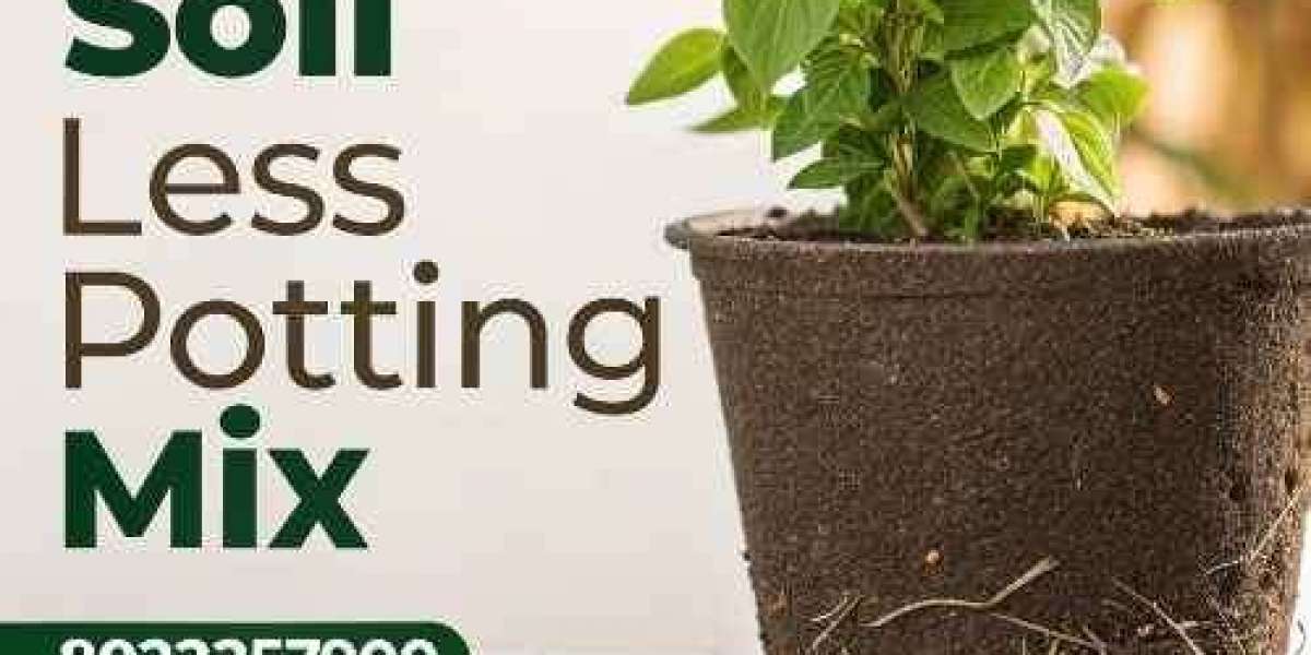 Discover the Best Soil Less Potting Mix for Healthy Plant Growth