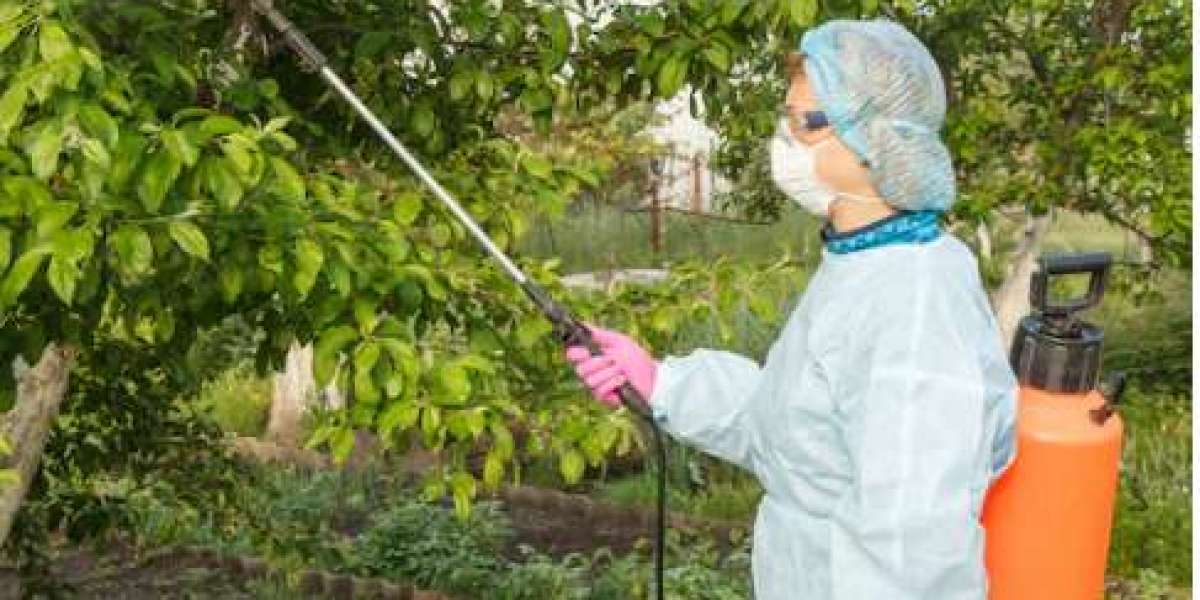 The Smart Way to Stay Pest-Free in Kansas City – Titan Pest & Wildlife Solutions KC’s Expert Tips