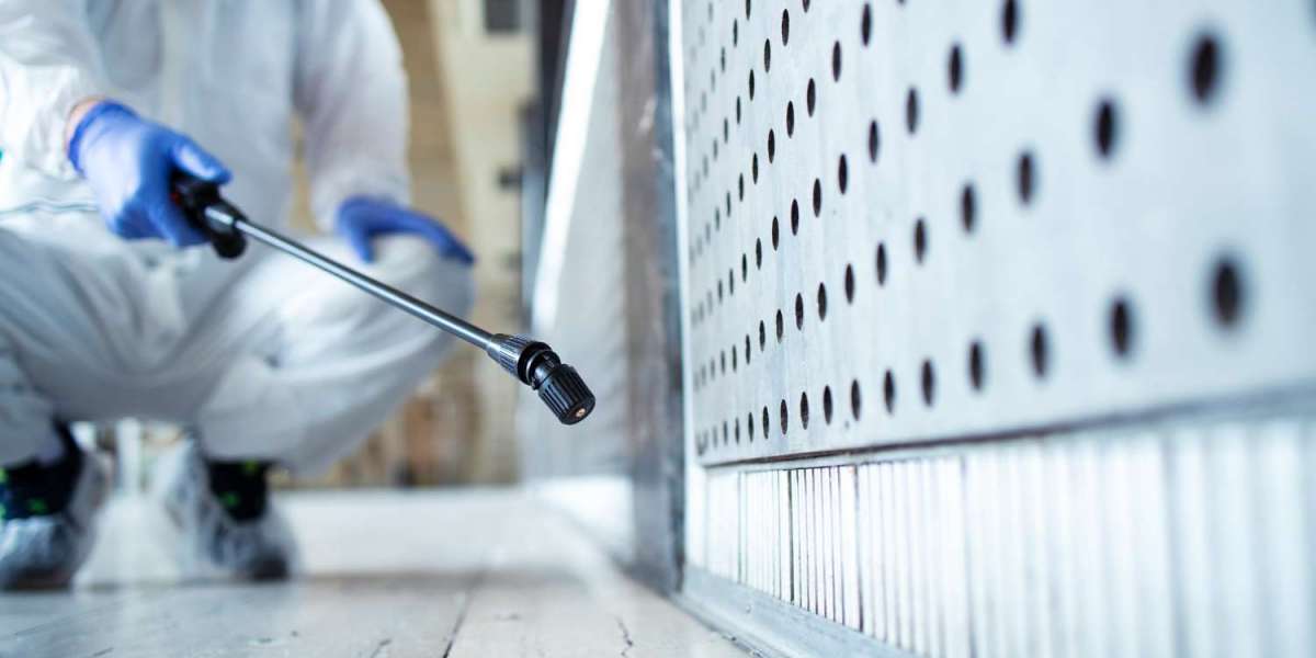 How Fast Water Damage Restoration Service Can Prevent Mold Growth