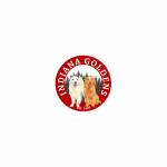 Indiana Goldens