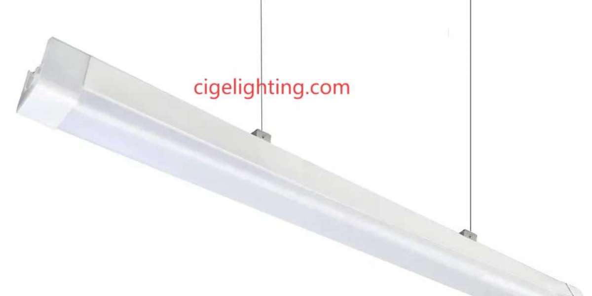 Cigelighting Triproof Light Factory
