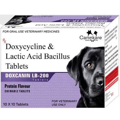 Doxycycline and Lactic Acid Bacillus Medicine 200 mg For Pet Profile Picture