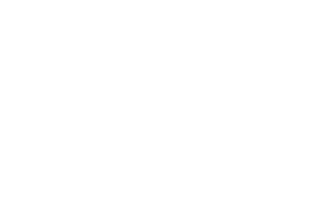 Home - Intelligent Visioneering