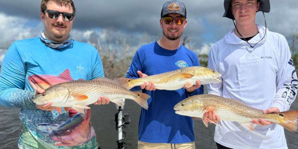Why Fort Myers Is a Top Destination for Fishing Enthusiasts