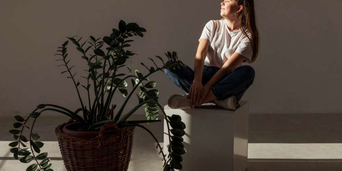 Simplify and Succeed: Minimalist Lifestyle Ideas for 2025