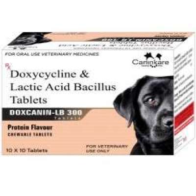 Doxycycline Lactic Acid Bacillus 300 For Dog Profile Picture