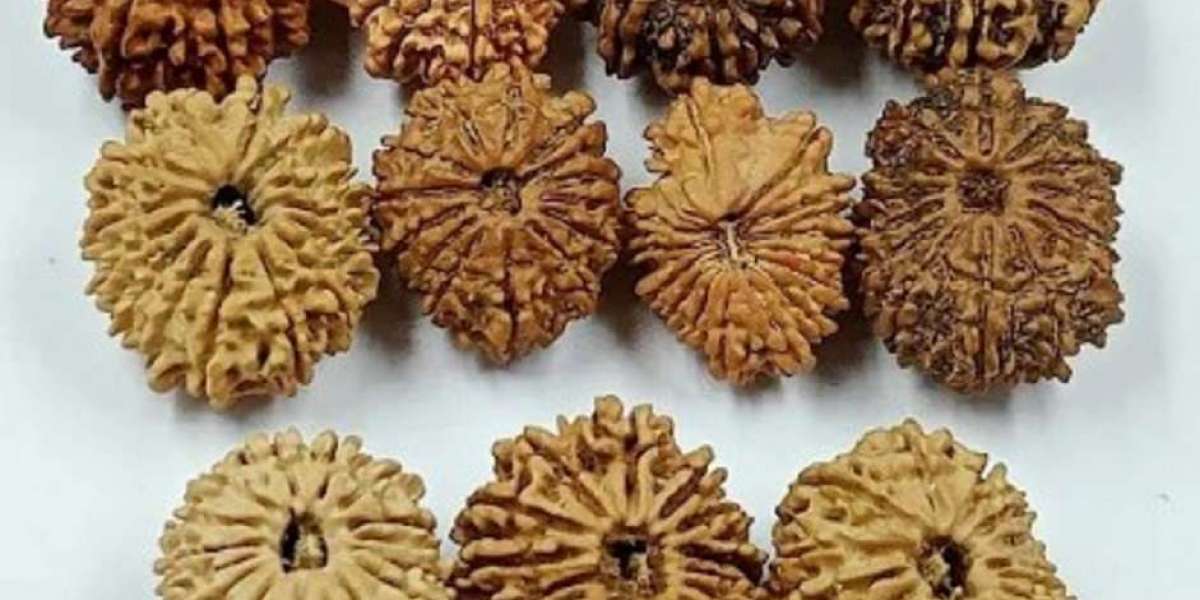 Rudraksha for Peace and Prosperity Bangalore – Authentic Source for Divine Balance