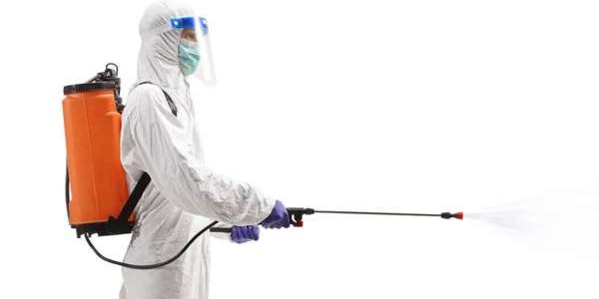 How to Safeguard Your Home from Common Pests in Solvang