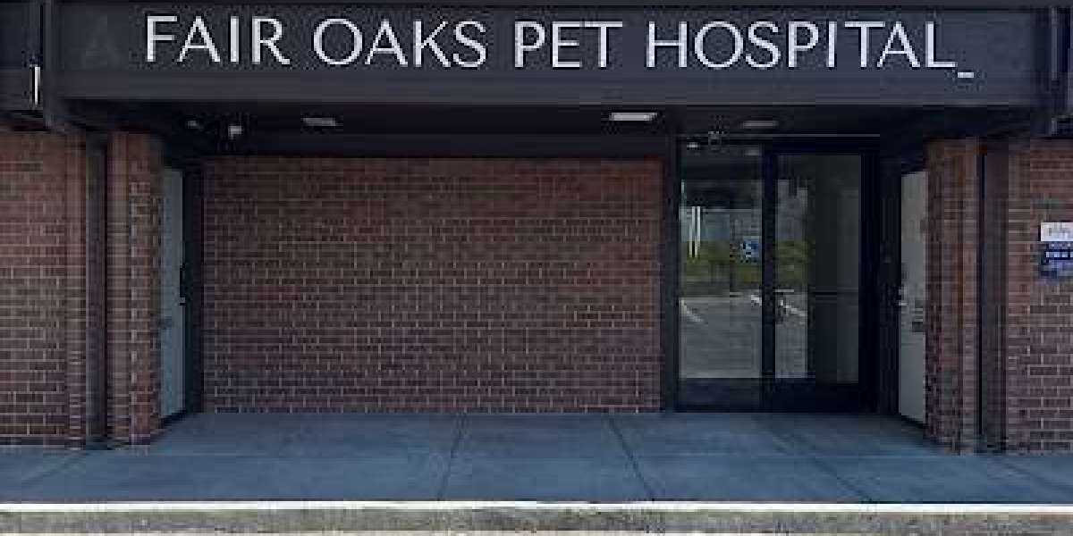 Animal Hospital Fair Oaks, CA: Where Pets Get Quality Medical Attention