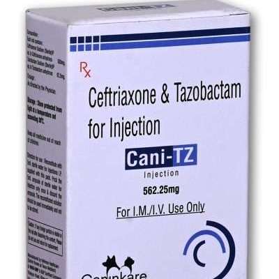 Ceftriaxone & Tazobactam (Cani-TZ) For Injection For Pet Profile Picture