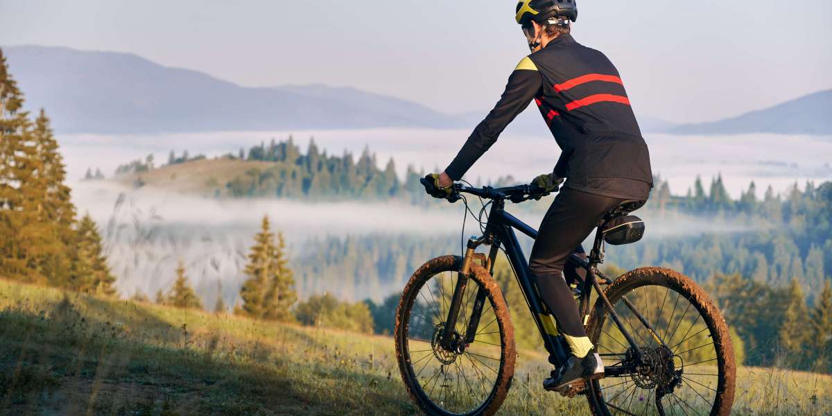 Used mountain bike for sale south africa