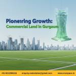 Maxheights Sonipat projects