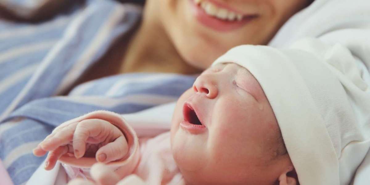 Discover the Best IVF Centre in Punjab | Dream IVF