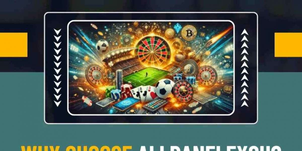 AllPanel – India’s Top Exchange for Live Betting and Sports Trading