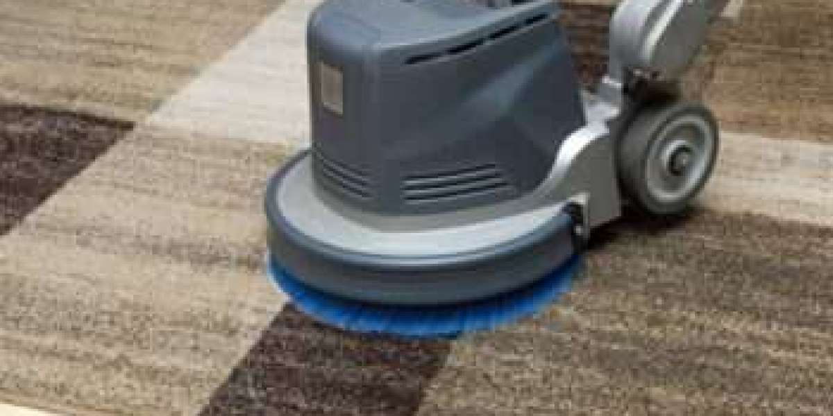 Carpet Cleaning Services That Bring Carpets Back to Life