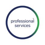 professional services