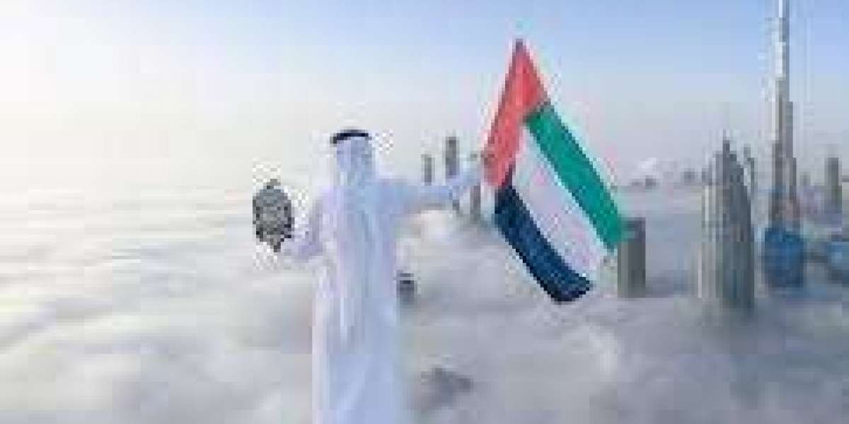 Complete Guide to PRO Companies in Dubai