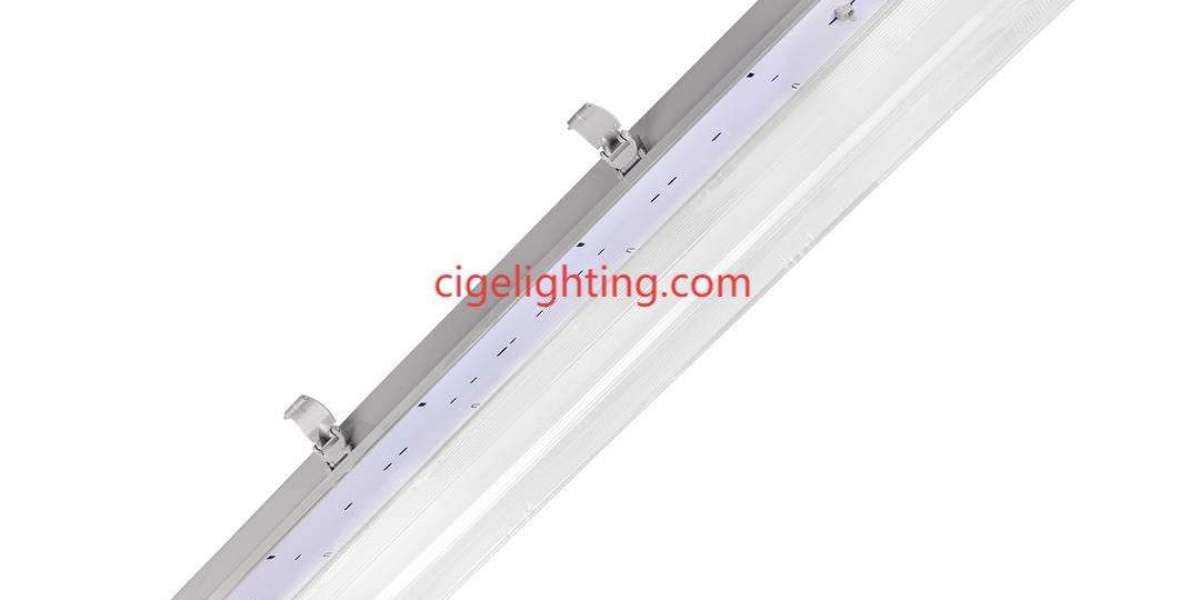 Cige 5ft Led Triproof Light: Unmatched Performance in Salt-Rich Atmospheres