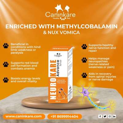 Neuro Kare Advance Syrup Supplements For Cat Profile Picture