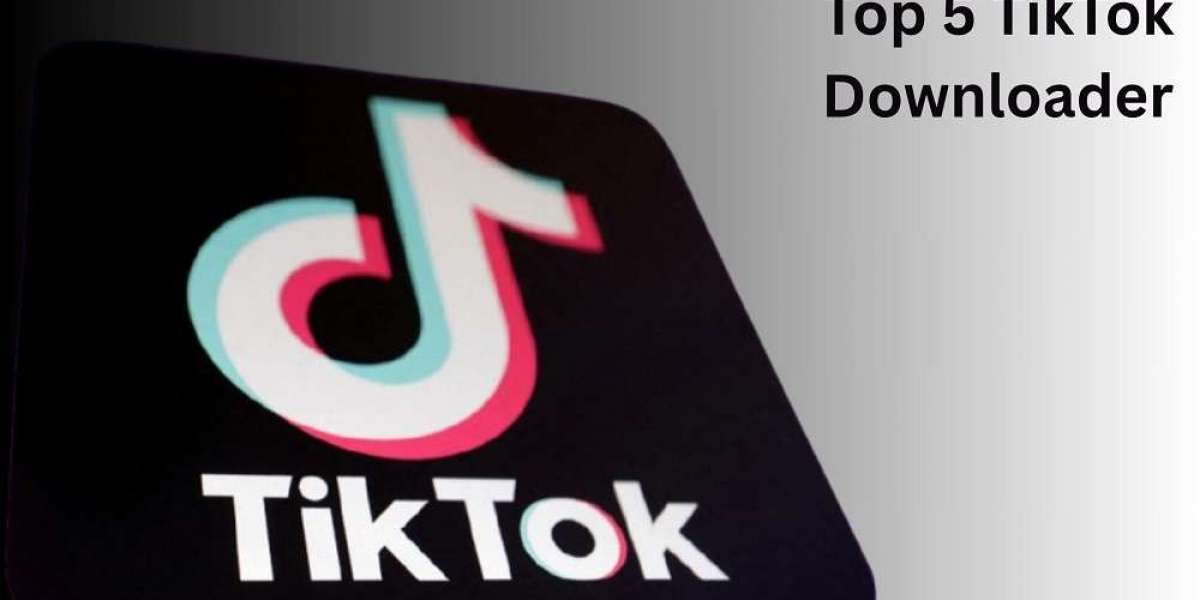 Best 5 TikTok Video Downloader Websites for HD video