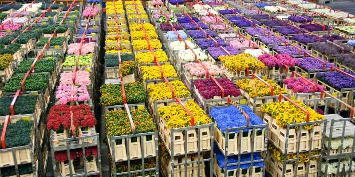 Find High-Quality Blooms Flowers with FlowersMart's Sophisticated Floral Arrangements