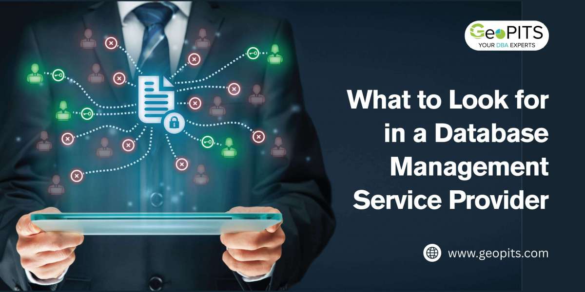 What to Look for in a Database Management Service Provider