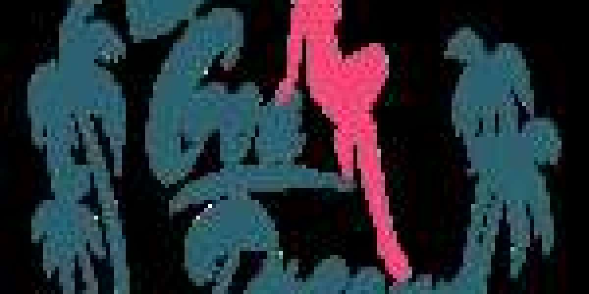 Goa Red Light Area 2025 | Top 10 Red Light Districts in Goa with Locations & Prices