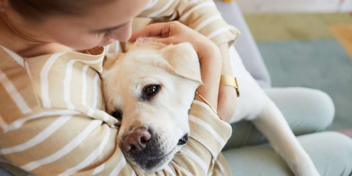 Can KC In-Home Pet Euthanasia Bring Peace to Ageing Pets?