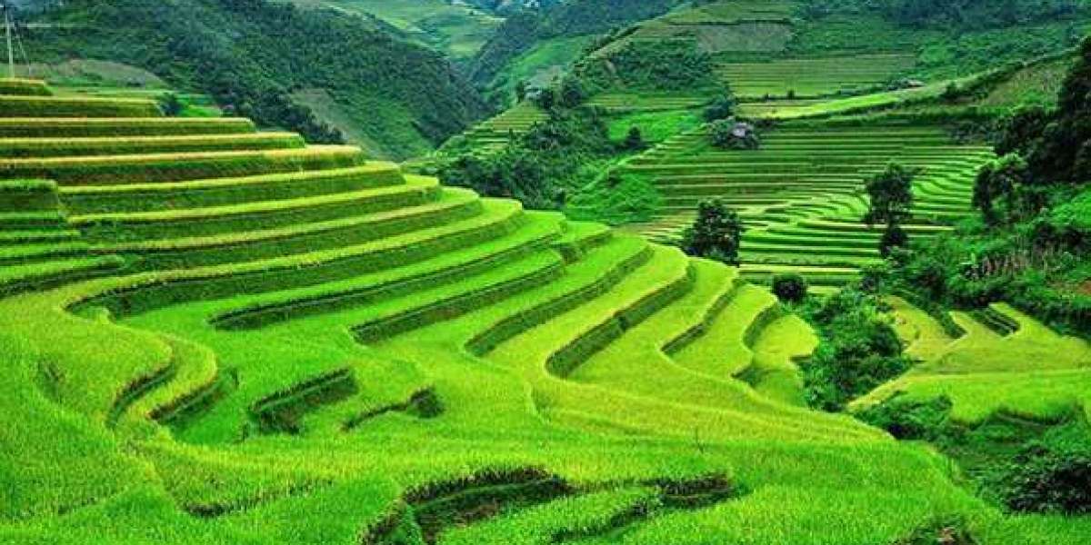 Taxi from Kalimpong to Darjeeling