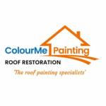ColourMe Painting Roof Restoration