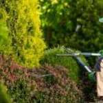 JASSCO SERVICES