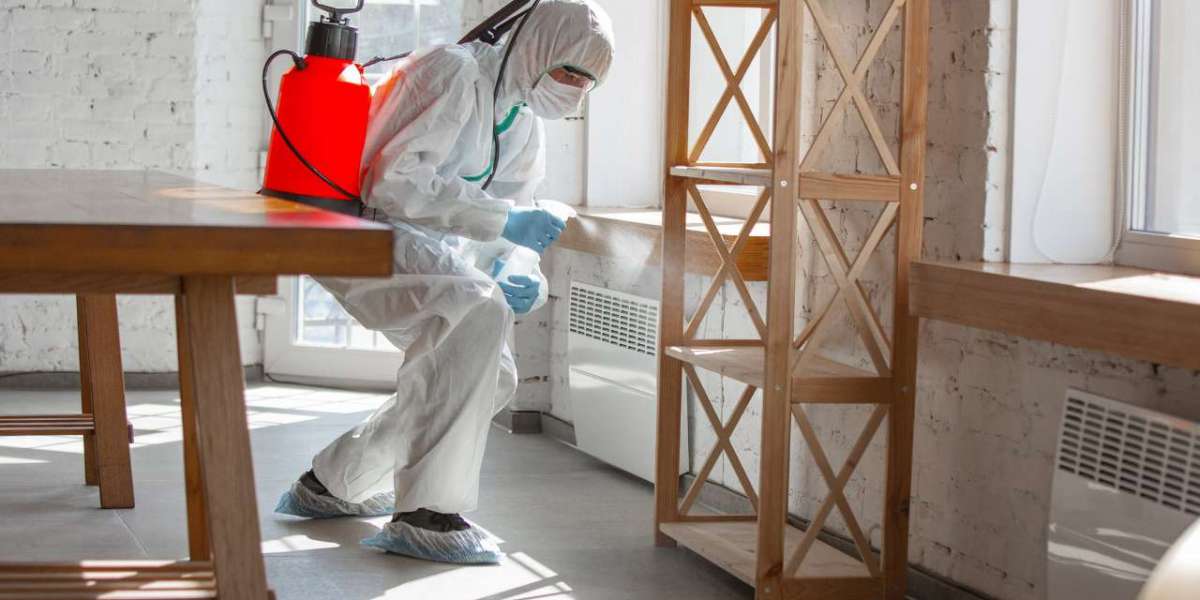 How Termites Invade Your Home—and How Inspections Stop Them