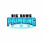 Big Dawg Plumbing