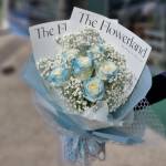 theflower land