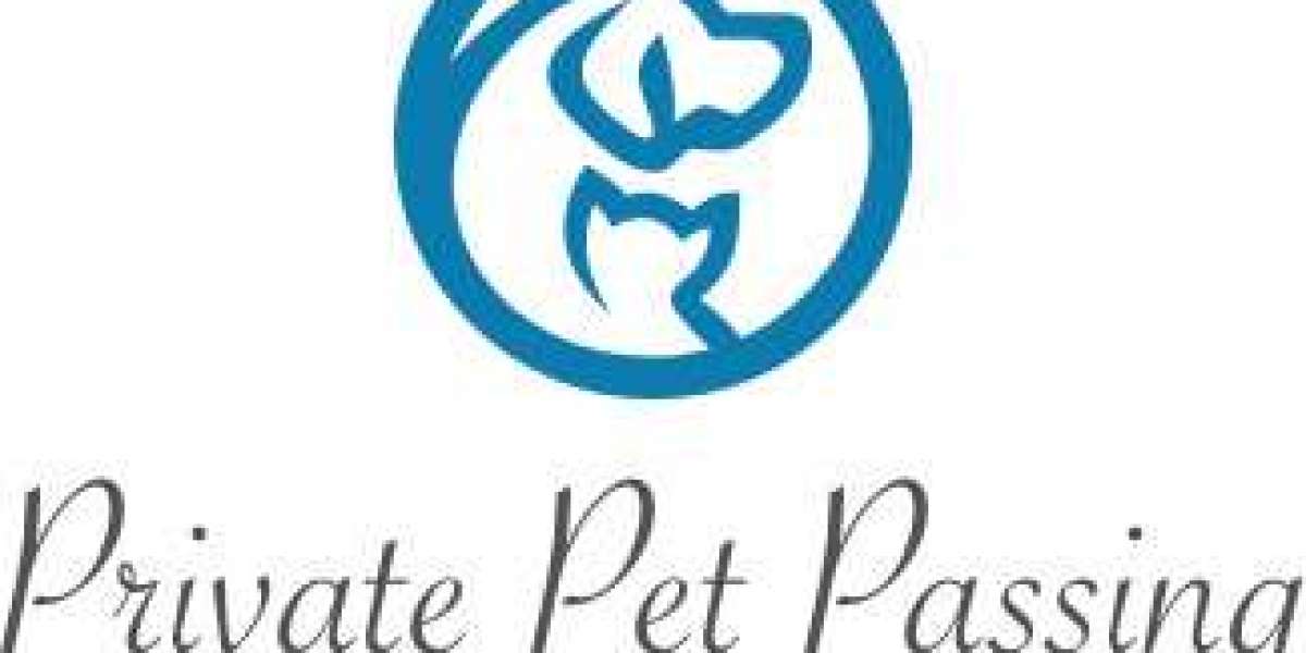 Choosing the Right Pet Cremation Service in Minnesota