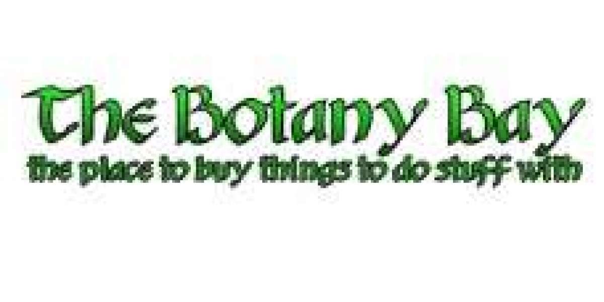 Bongs for Sale | High-Quality Glass Water Bongs and Rigs Online