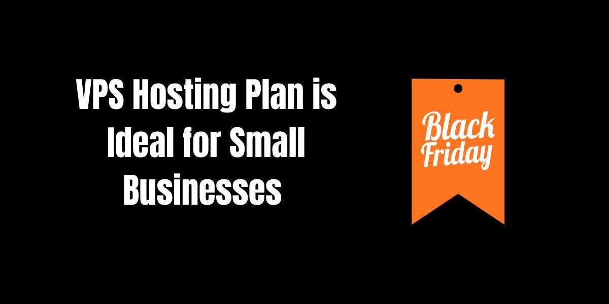 Which VPS Hosting Plan is Ideal for Small Businesses During Black Friday?
