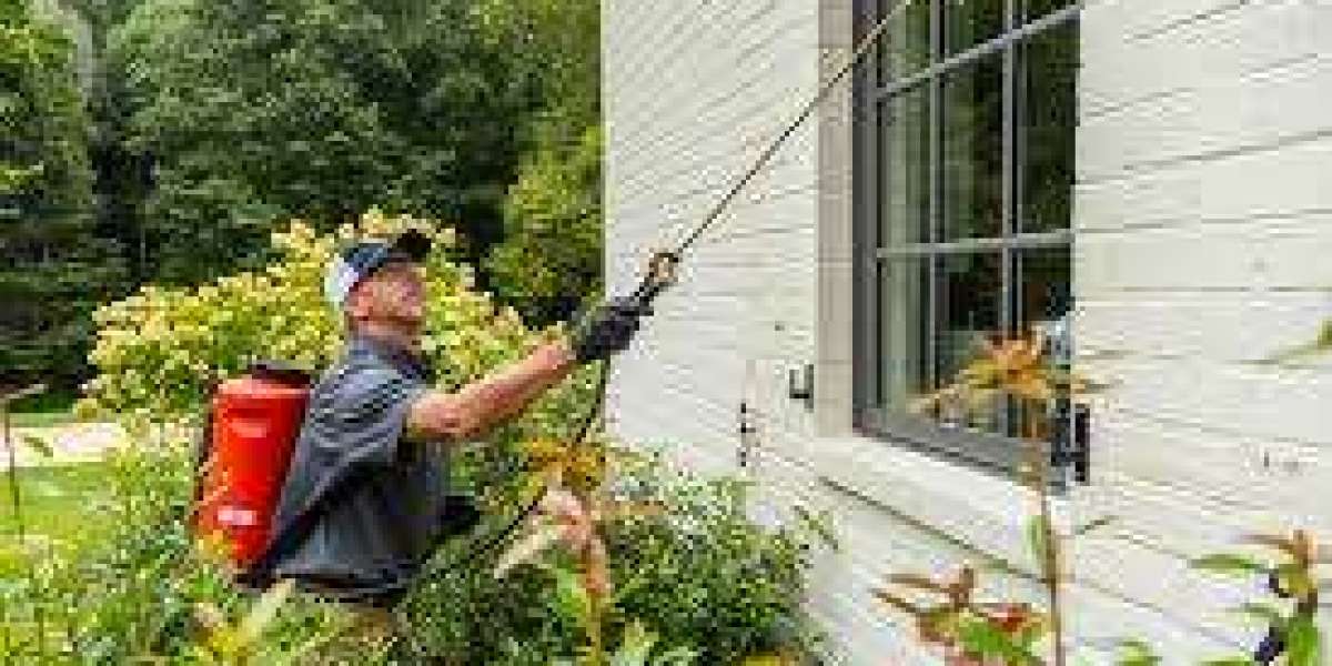 What Determines the Real Cost of Professional Pest Control and When Fast or Emergency Service Becomes Necessary