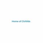 Home of Cichlids