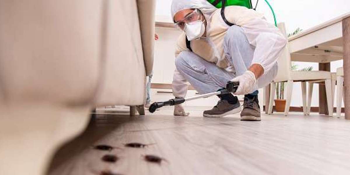 Effective Pest Solutions for Brooklyn Homes: Protecting Your Property