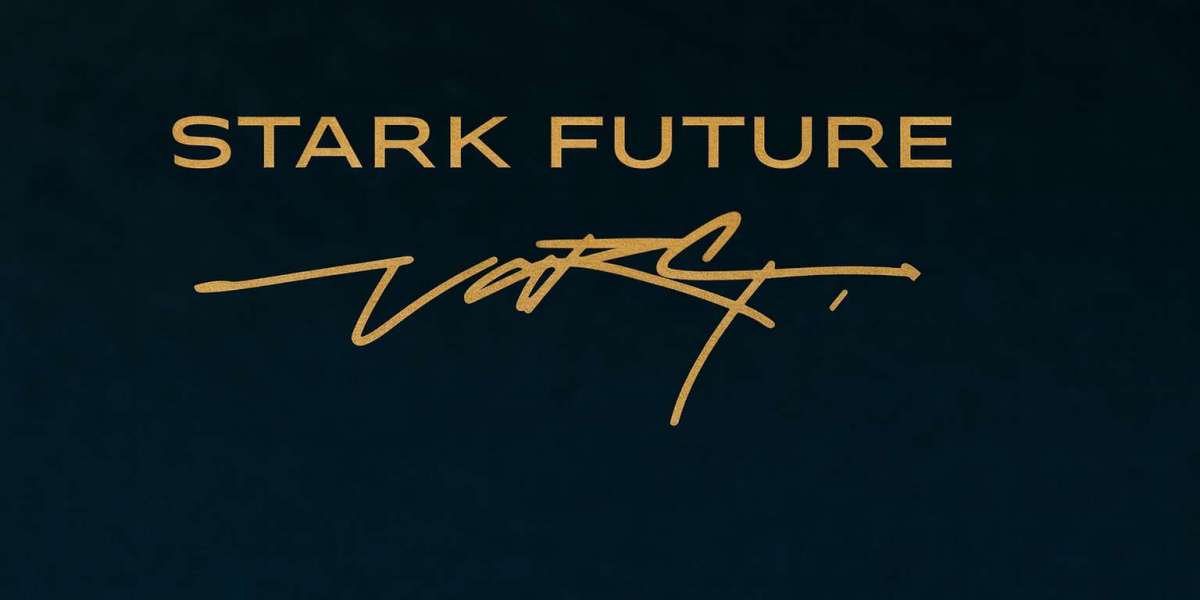 Stark VARG Dirt Bike: The Future of Electric Motocross