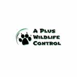A Plus Wildlife