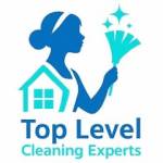 Top Level Cleaning Experts
