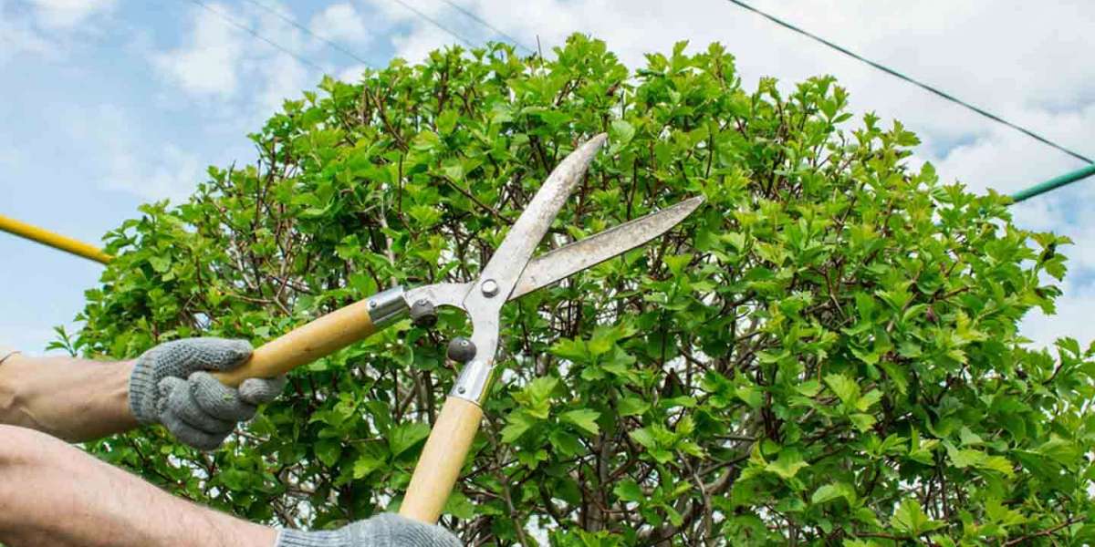 Best Gardening Company in Highlands Ranch CO