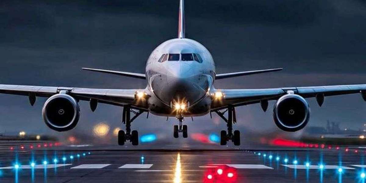 How Tourists Use American Airlines Booking Phone Number Florida Airport