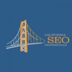 Caliafornia SEO Proffessional Digital Marketing Agency