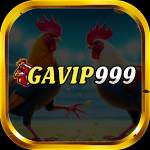 GAVIP999 CAM